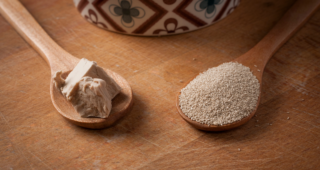 Be Careful of Yeast Allergies this Winter